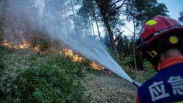 China combate incêndios com temores sobre colheita